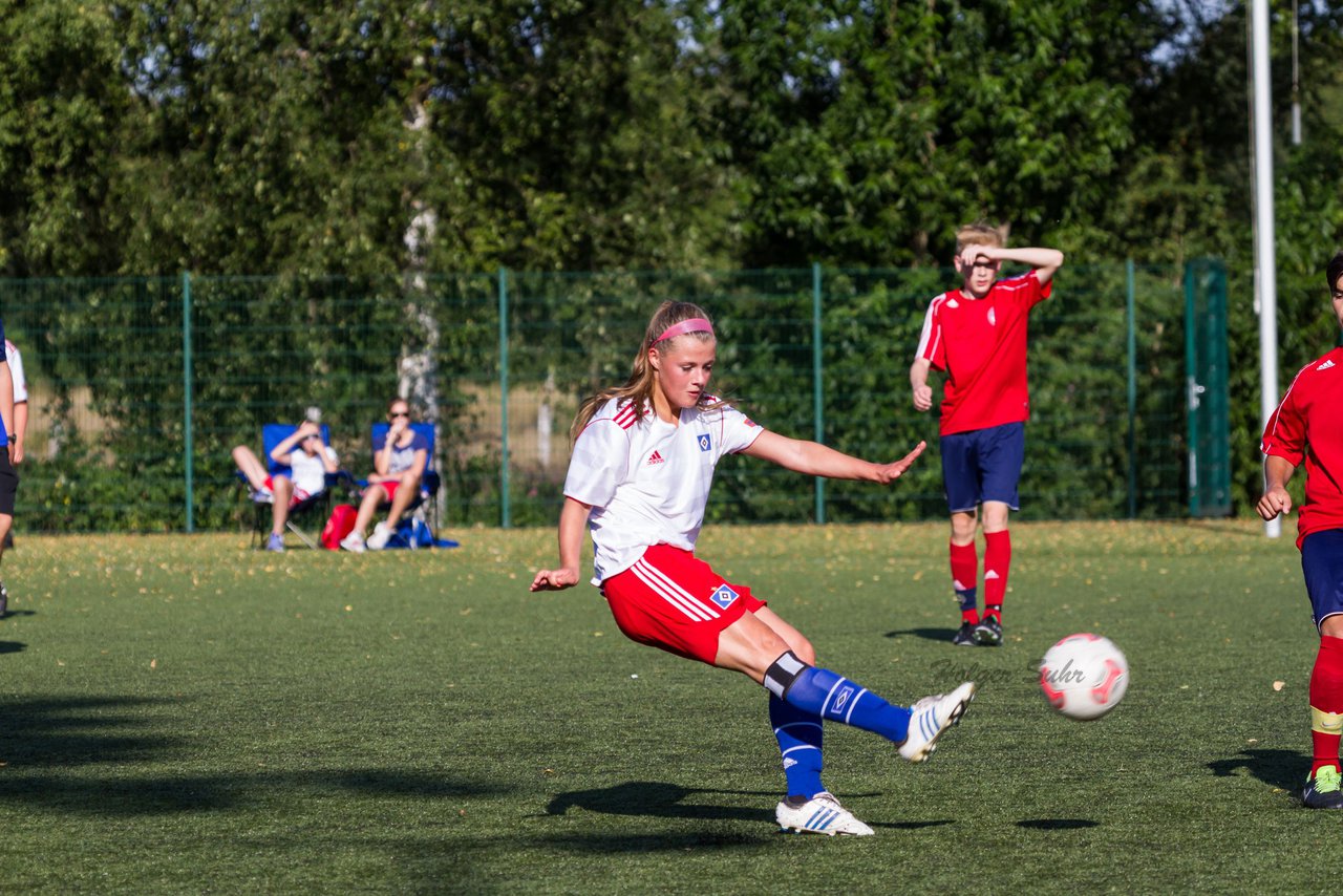 Bild 212 - Frauen HSV - cJun Eintracht Norderstedt : Ergebnis: 1:16